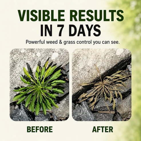🔥2026 SALE - Fast-Acting Natural Weed & Grass Killer Spray✨