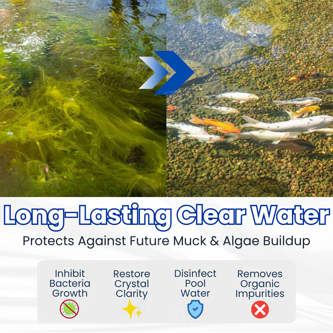 ⏱️ Crystal Clear in 24 Hours! | AQUA-SENTRA Pro Formula
