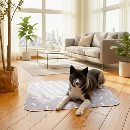 NovaPaw Pup Pad